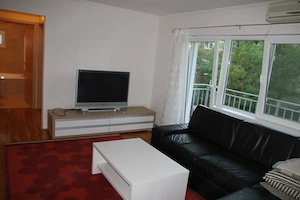 apratment 2 camere, zona Matei Basarab - imagine 4