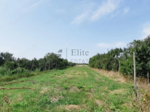 Hala de inchiriat 180 mp +spatii birouri la 20 de minute de Oradea - imagine 13