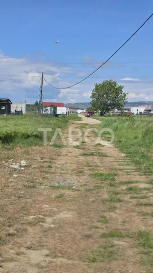 Teren intravilan de vanzare in Sebes drumul Petrestiului - imagine 3