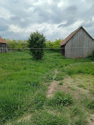 Teren 2453 mp + casă | Stradă principală | Roșia de Secaș, jud. Alba - imagine 5