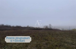 Antony Estate | Vanzare Teren Intravilan,40 euro mp,Paleu,Oradea - imagine 6