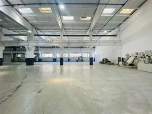 Hale Calea Chisinaului Iasi, aproape de Carrefour de la 65mp la 2000mp - imagine 16
