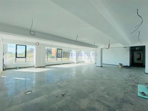 Hale Calea Chisinaului Iasi, aproape de Carrefour de la 65mp la 2000mp - imagine 17