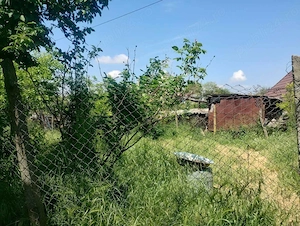Teren cu casă batranească de vânzare comuna Rasova - imagine 3