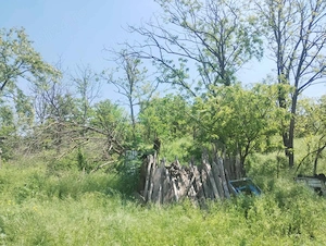 Teren cu casă batranească de vânzare comuna Rasova - imagine 5
