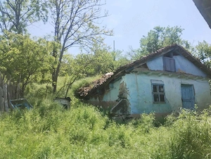 Teren cu casă batranească de vânzare comuna Rasova - imagine 6