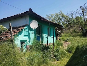 Teren cu casă batranească de vânzare comuna Rasova - imagine 2