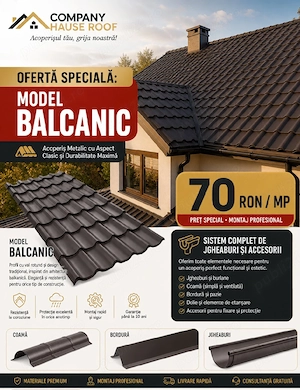 Renovari acoperisuri