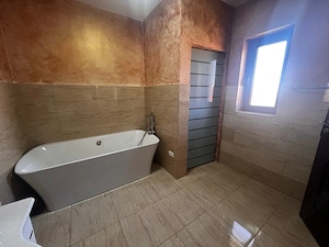 vand vila stil amnerica P+E zona Vlaicu  - imagine 4