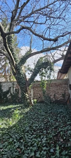 Casă Bogdănești -Cetații de vânzare 