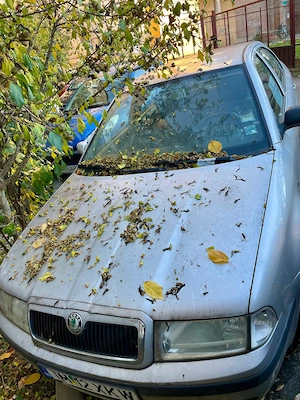 Vând în Lugoj, Skoda Octavia Tour M1 AA berlina, pe motorină, motor AXR, 1.9 TDI, 101 CP, 74 kw - imagine 5