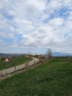 Vând teren in Livezile, Bistrița-Năsăud, extravilan 74 arii. - imagine 3