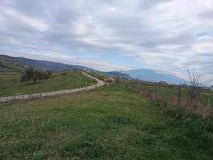 Vând teren in Livezile, Bistrița-Năsăud, extravilan 74 arii. - imagine 6