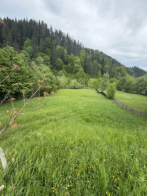 Teren de vânzare 