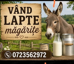 Vând lapte de Magarita  - imagine 2