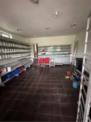 Proprietate Mihaesti Jud Olt 4000mp - imagine 3