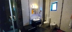 Vila spatioasa, 6 camere, 5 bai, ideala pentru doua familii inrudite, intrari separate - imagine 8