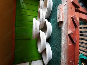 Porumbei farfurii gips