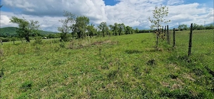 Teren de vanzare