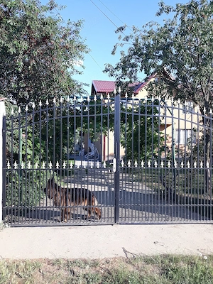 vanzari vile
