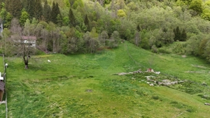 Intravilan | 10.000 mp| Sătic-Rucăr | Acces facil | Potențial excelent - imagine 7