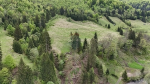 Extravilan + Intravilan | Sătic-Rucăr | Cadru natural | Turistic - imagine 9
