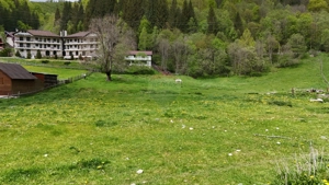 Intravilan | 10.000 mp| Sătic-Rucăr | Acces facil | Potențial excelent - imagine 2