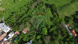 Teren de vânzare in Voinesti / Leresti înconjurat de natura - imagine 5