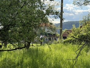 Teren de vânzare in Voinesti / Leresti înconjurat de natura - imagine 12