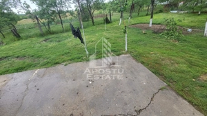 Casa individuala cu 6 camere,2 bai,teren de 1017 mp Pischia Central - imagine 15