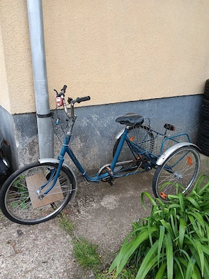 tricicletă adulți