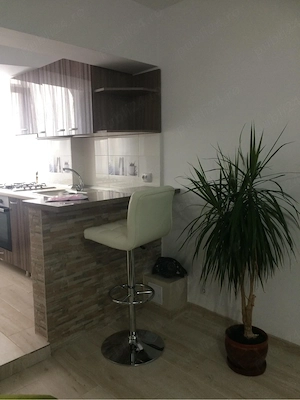Apartament cu 1 camera mobilat Calea Calarasilor - imagine 7