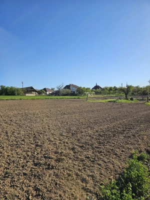 Teren intravilan Cetariu 5000 mp