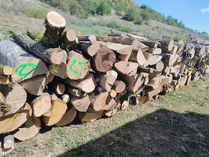 vand lemne de foc esenta tare transport acasa 