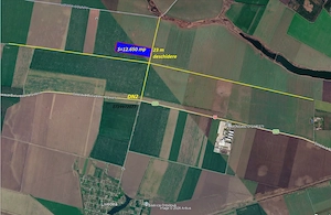 12.650 Mp teren agricol extravilan de vanzare Sinesti Ialomita