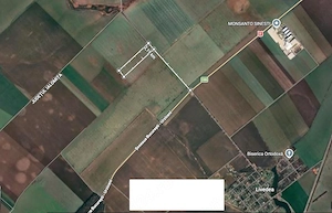 12.650 Mp teren agricol extravilan de vanzare Sinesti Ialomita - imagine 3