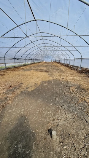 Vand Solar