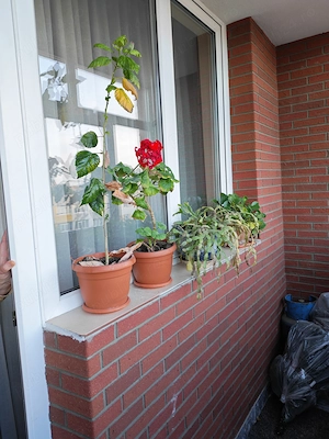 Vanzare apartament 3 camere, Petre Ispirescu - imagine 7