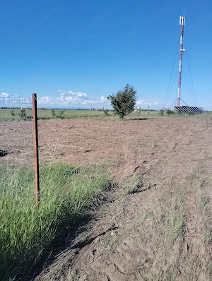 Vând parcelă teren 303mp, Strada Morocești, comuna Bradu - imagine 7