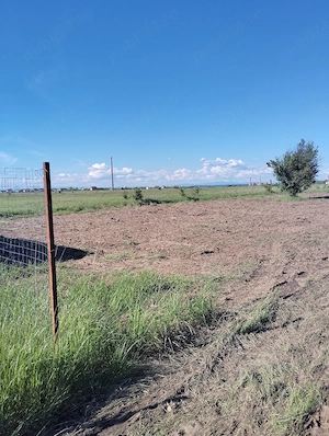 Vând parcelă teren 303mp, Strada Morocești, comuna Bradu - imagine 6