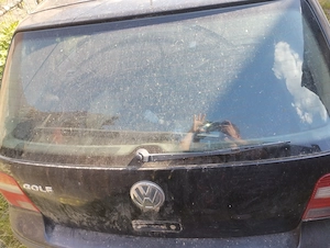 Volkswagen golf 4 pt dezmembrări sau integrala  fara acte și nr - imagine 3