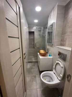 De Inchiriat Apartament 2 camere renovat, modern, Nerva Traian - imagine 5