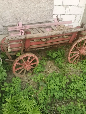 Căruță veche pentru grădină 