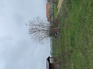Vanzare Schimb teren intravilan Lazuri - imagine 2