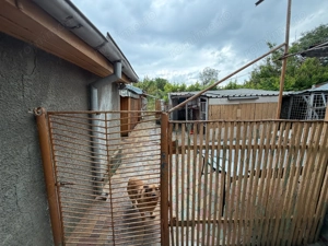 700 mp, teren intravilan, zona Centru, 150.000 euro - imagine 12