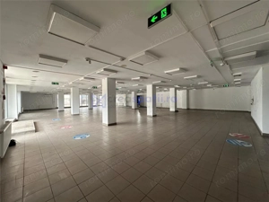 Hala, showroom sos. Pacurari Iasi, zona Mall Moldova, 1310mp - imagine 18