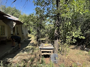 De vânzare: Casă + Teren de 2600 mp în Centrul Comunei Grebănu (5 km de Rm. Sărat) - imagine 5
