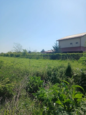 Teren de vanzare