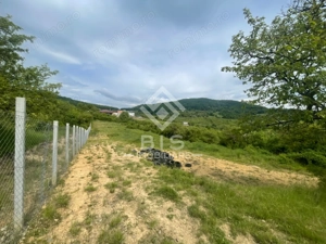 Teren extravilan de vânzare – Valea Rusului | 30 ari - imagine 4