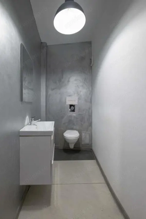 Spatiu comercial - zona Brotacei - imagine 9